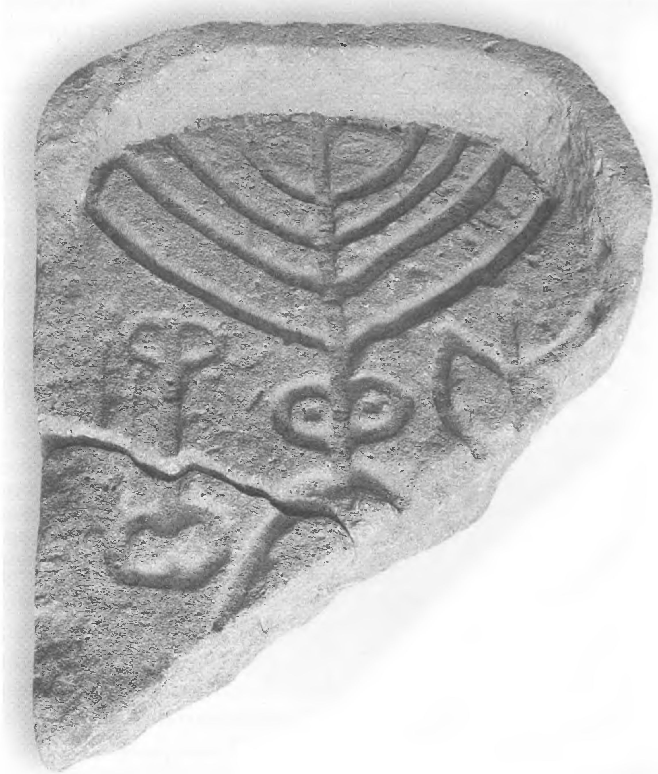 Обломок надгробия из Керчи с изображением девятисвечной меноры и плодов цитрусовых деревьев