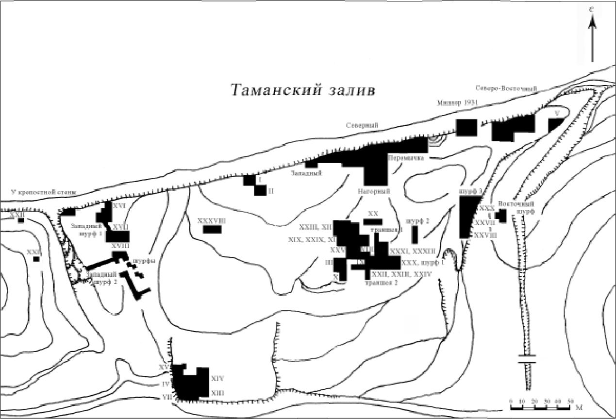 Илл 29. Таманское городище, план расположения раскопок (по: Чхаидзе В.Н., 2008)