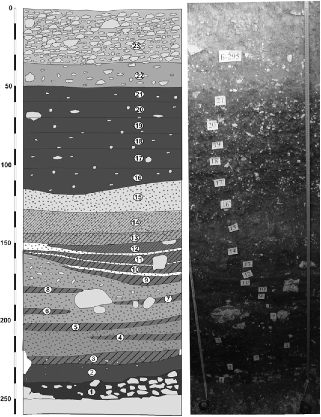 Рис. 2. Стратиграфия отложений рва Маяцкого городища (разрез Б-295)