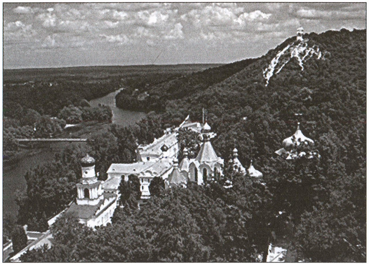 Леса вокруг Святогорского монастыря. Современный вид