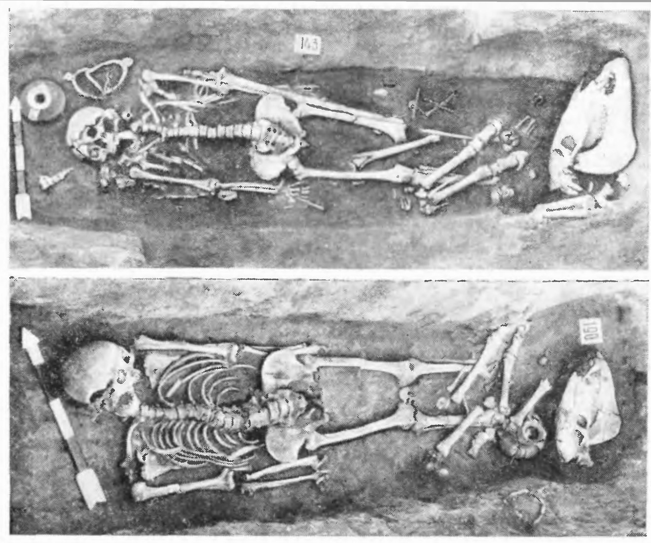 Рис. 9. Больше-Тарханский могильник. Погребения с частями лошади, положенными на уровне заплечиков