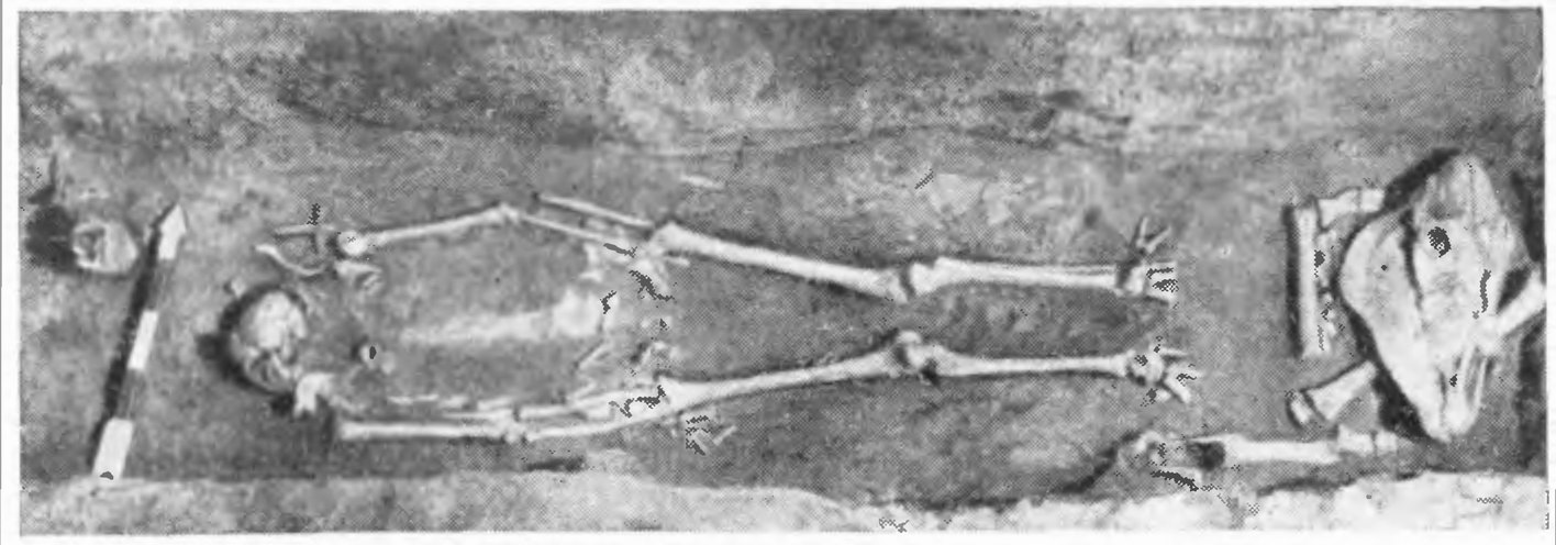 Рис. 10. Больше-Тарханский могильник. Погребение № 274 с частями лошади, положенными на дно ямы