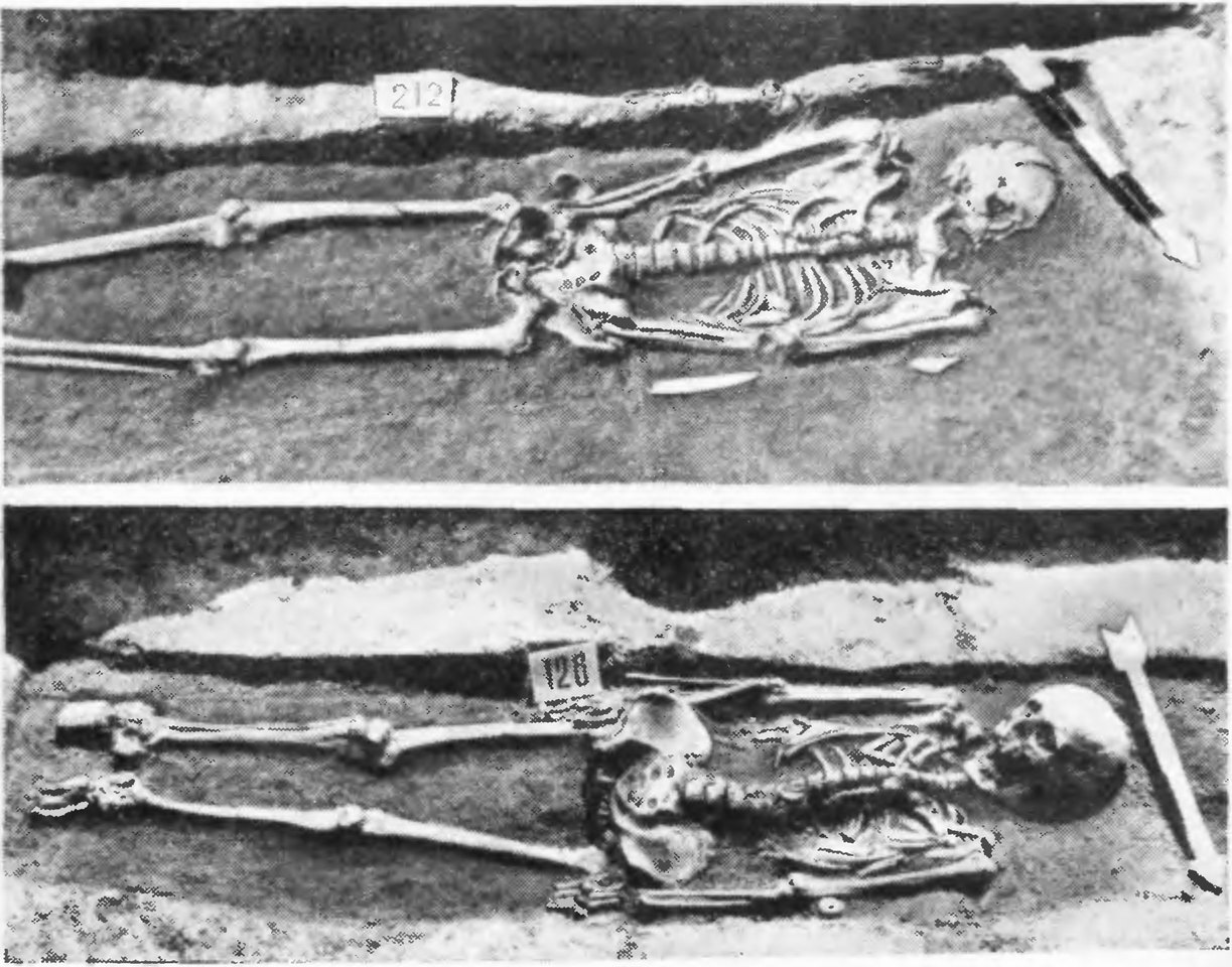 Рис. 6. Больше-Тарханский могильник. Погребения в ямах с заплечиками