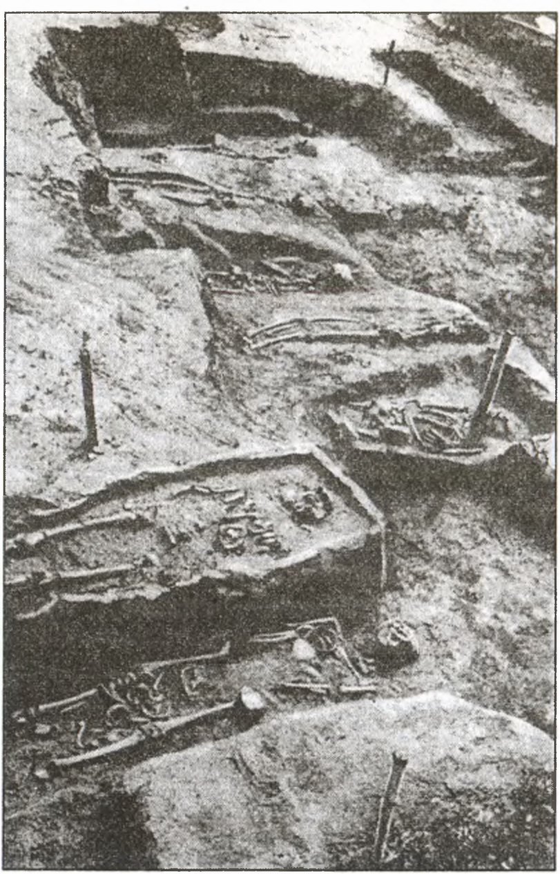 Раскопанные братские могилы защитников Рязани